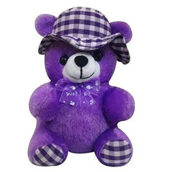 Purple Cap Check teddy bear soft toy for kids