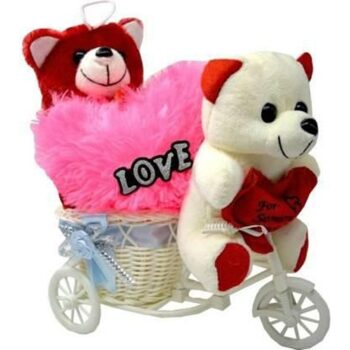 Cute and Cuddly Teddy bear for your someone special and special one
