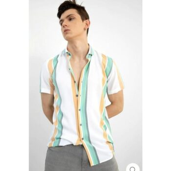 Rayon Stripes Half Sleeves Regular Fit Men's Casual Shirt