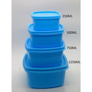 Food Container- Fresh Plastic Storage Container Set for Fridge, Modular Containers for Kitchen, Blue (SQUARE- 250ML , 500ML , 750ML , 1250ML)-(SET OF 4)