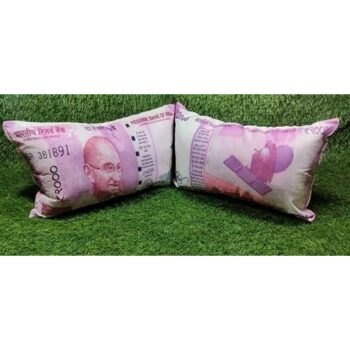 Indian Currency Pillows