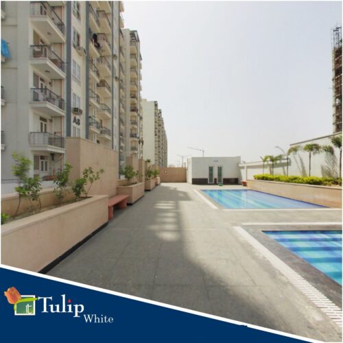 tulip white kdb deals realty