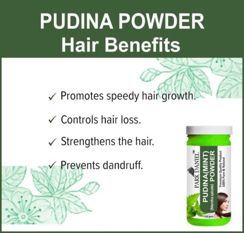200 premium pudina powder 100 pure natural combo pack 2 bottles original imag462yzhkttczc