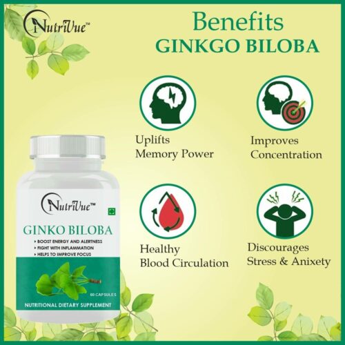 ginko biloba natural supplement improves memory focus pack 2 of original imagghwqf2zpft5q 1