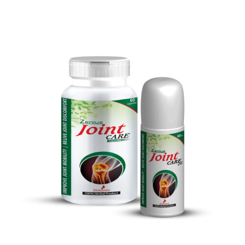 Joint pain relief capsule