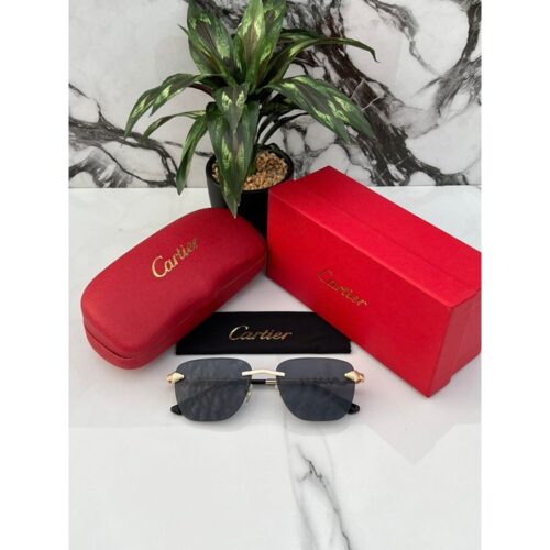 Cartier Sunglasses 1