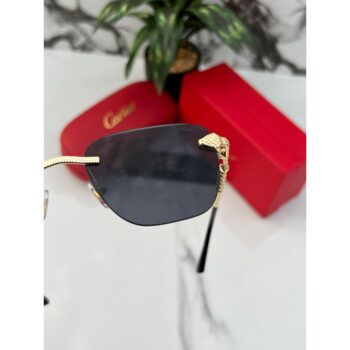 Cartier Sunglasses 3