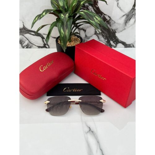 Cartier Sunglasses For Men Gold Brown 2