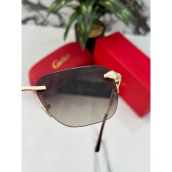 Cartier Sunglasses For Men Gold Brown 4
