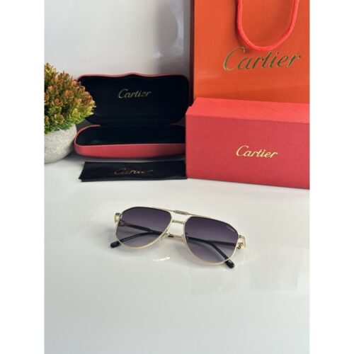 Mens Cartier Sunglasses 5047 Gold Black 2
