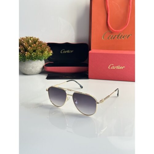 Men's Cartier Sunglasses 5047 Gold Black