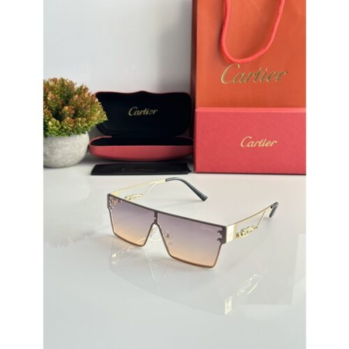 Men's Cartier Sunglasses 7216 Gold Orange DC