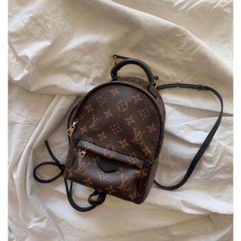 Louis Vuitton Palm Springs Mini Brown Leather Backpack Bag (Pre-Owned)