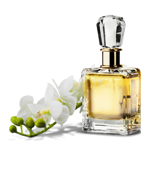 Men Perfumes 1