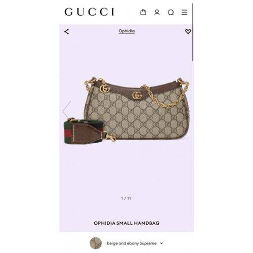 Gucci Bag Ophidia Gg Shoulder Bag With Og Box 4