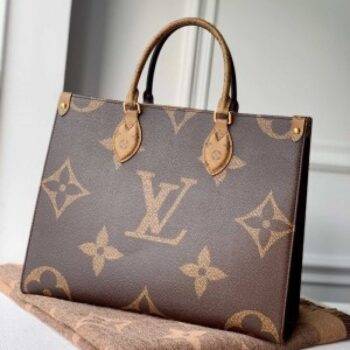 Louis Vuitton Bag on the go 969 (1)