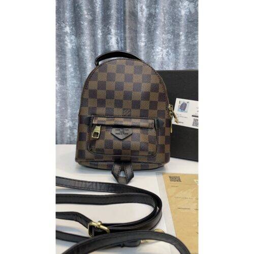 Louis Vuitton Handbag Palm Springs Small Backpack With Box 1