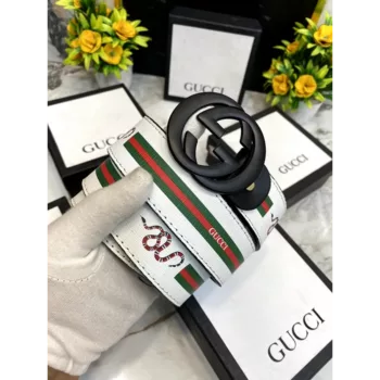 Gucci Belt (CSO403)