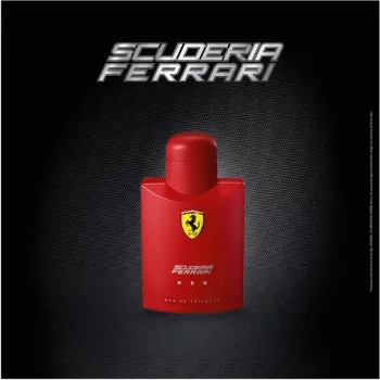 Ferrari Red 125ml